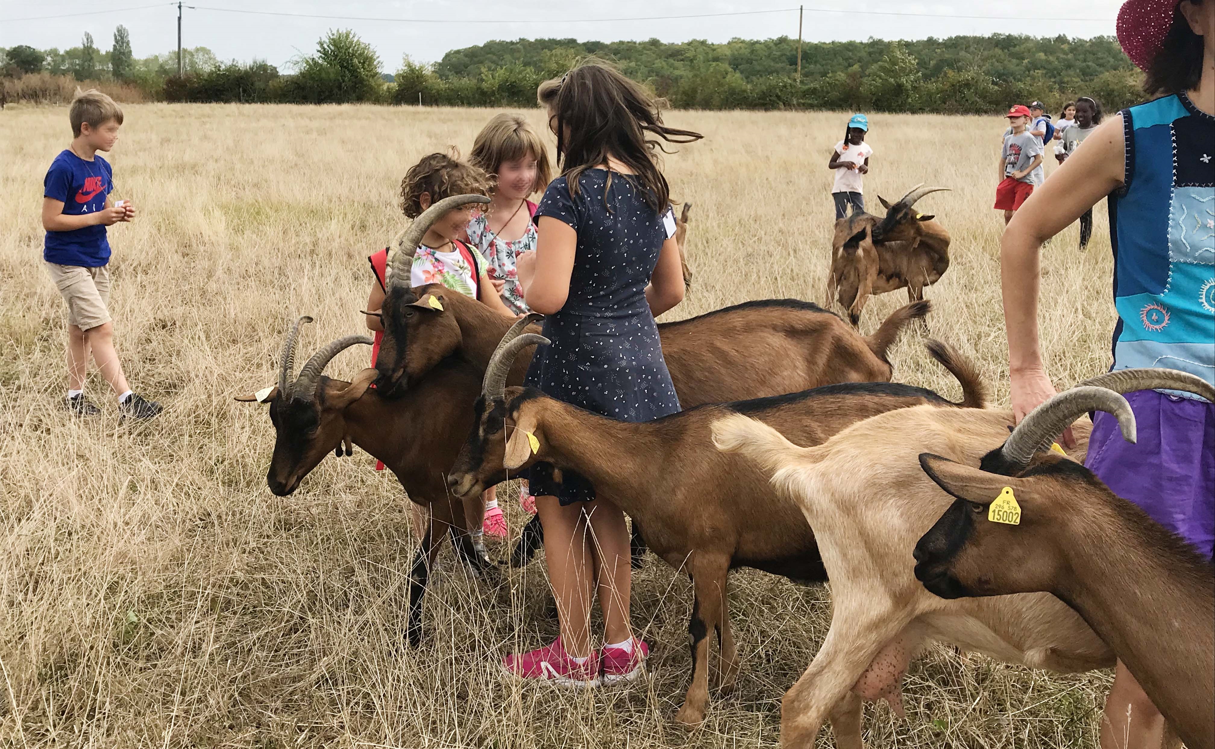 Enfants dans les paturages des ch&egrave;vres