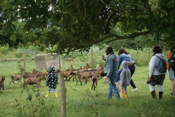 Atelier découverte les animaux de la ferme