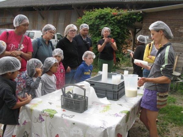 Atelier découverte le fromage de chèvre