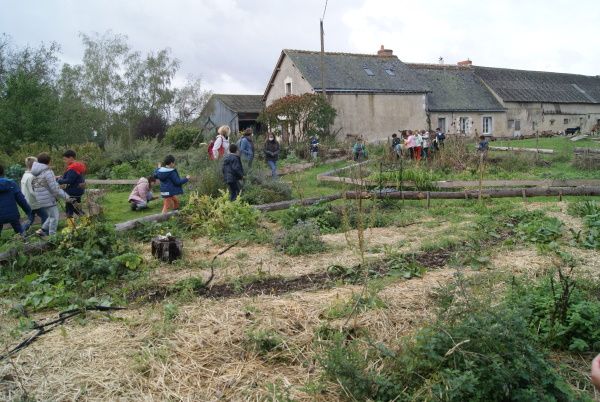 Enfant dans le jardin mandala